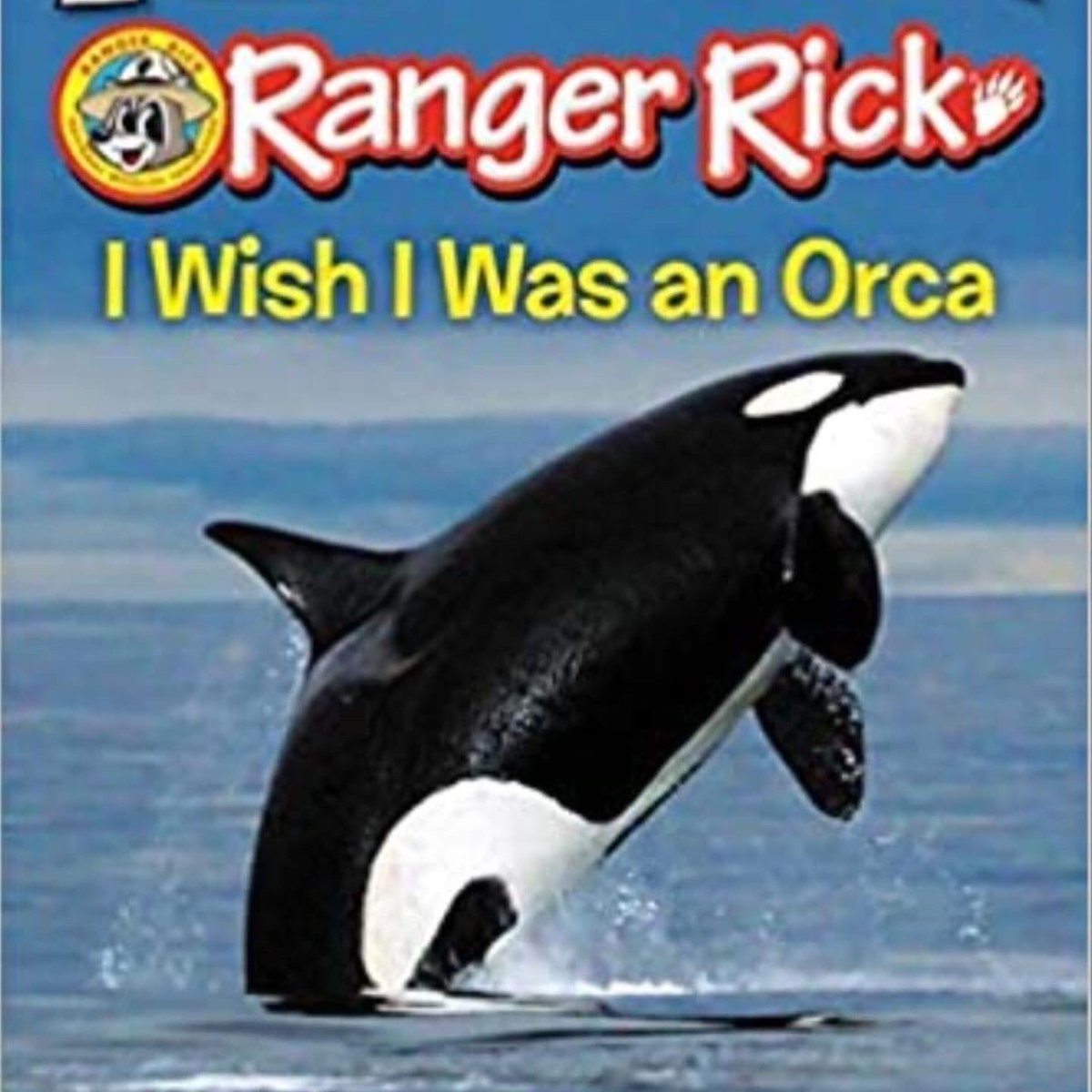 World Orca Day tweet media
