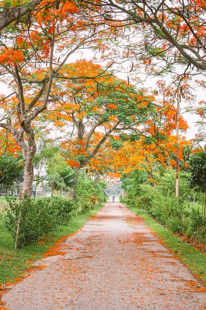 MdShada52897238's tweet photo. যদি মনের মানুষটাকে নি���়ে  এই পথে  দুজন দুজনার হাত দরে  হাটগে পারতাম ☺️ https://t.co/qgZejfXmWB