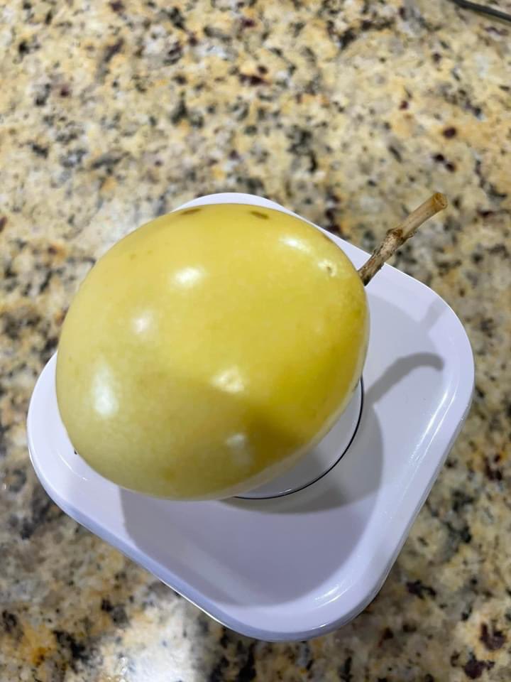 CortesBob's tweet photo. When all else fails, there is always an #Florida #passionfruit #parcha #maracuya grown in my backyard. #yumm #notorange https://t.co/Ic2DBhLm9N