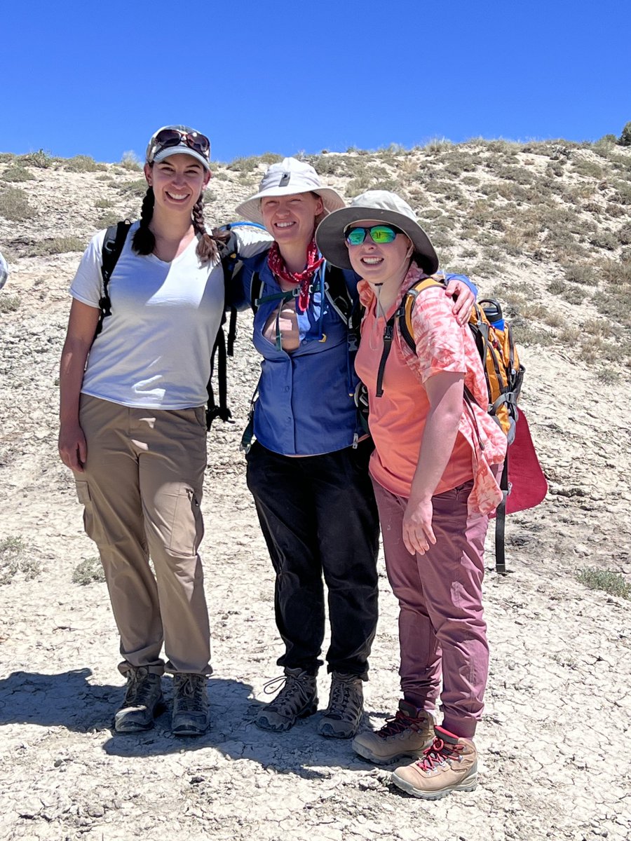 Robert Anemone tweet media