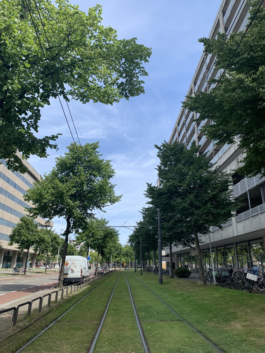 _EmilyFarquhar's tweet photo. “If you design a city to be car-centred, people will become car-headed.”

Wise words from @LiorSteinberg today as he took us on an urbanism tour of Rotterdam. Cities are for people.

#CyclingCities22 https://t.co/NcdtVmeMD2