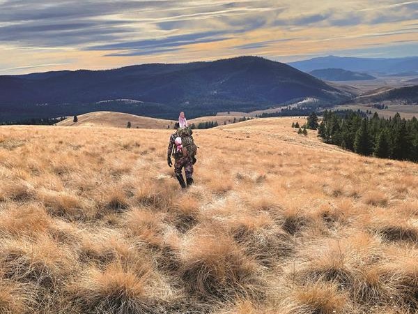 "I’ve spoken with and spent time in the field with a wide array of hunters over the years. The common theme in most tags being filled usually boils down to the same thing – good old-fashioned will."

Read the full story here bit.ly/3NHtte5