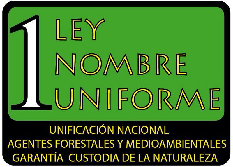 AMedioambiental's tweet photo. No mires hacia atrás con ira, ni hacia adelante con miedo, sino alrededor con atención.
#Anonimo
#PoliciaMedioambiental
#LeyBasicaAAMMYa
#SeguridadMedioambiental
#StopAgresionesAAMM https://t.co/UC6e3OkXBe