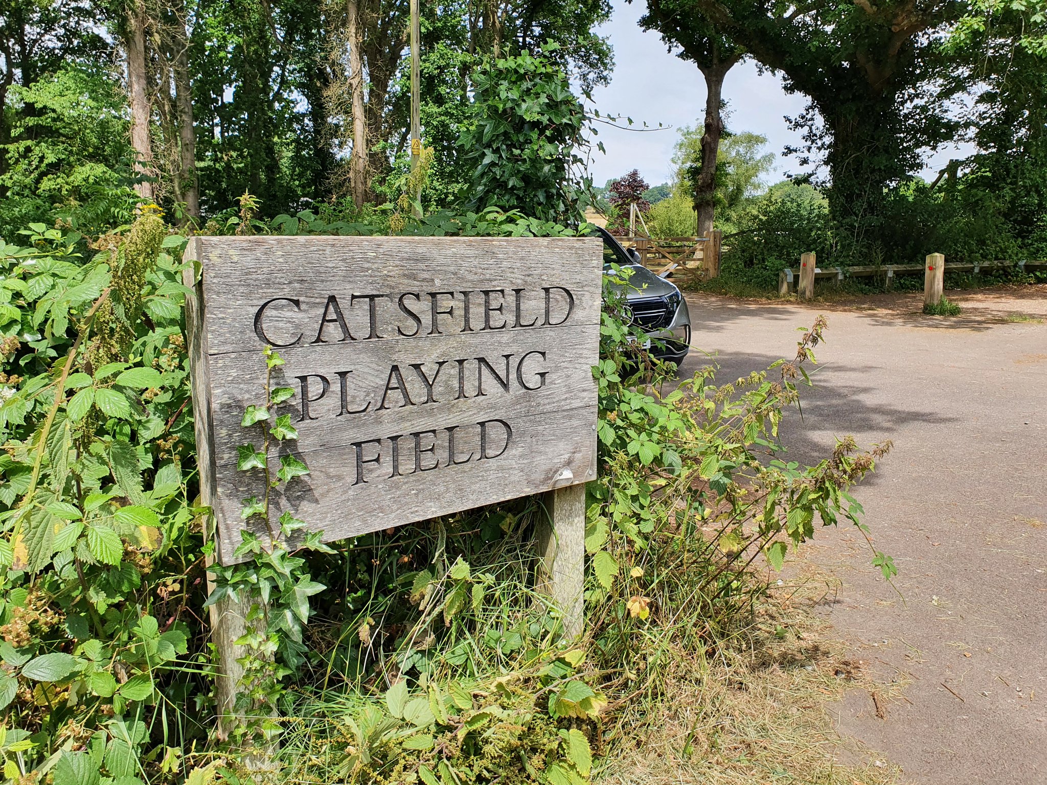 Catsfield Football Club on Twitter: "Pre season training starts 