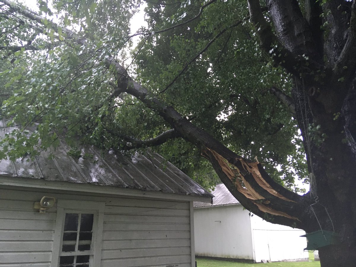 dwhite21787's tweet photo. @NWS_BaltWash spotter CLN02 front passed #Taneytown at 4:15 pm estimate 60 MPH gusts, with 1/2” hail. Large tree damage (photo) https://t.co/7H1WhgWPRf