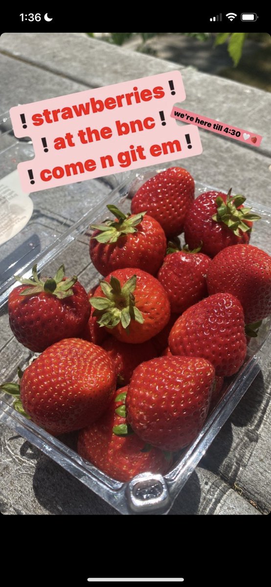 We’ve got a bunch of strawberries that need to he eaten at the BNC (Champinefu Lodge)! Come grab em and enjoy :)