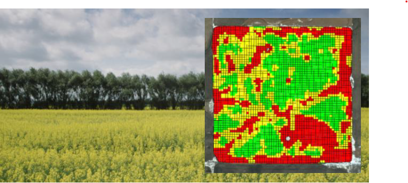 Living Lab - Eastern Prairies (LLEP) tweet media