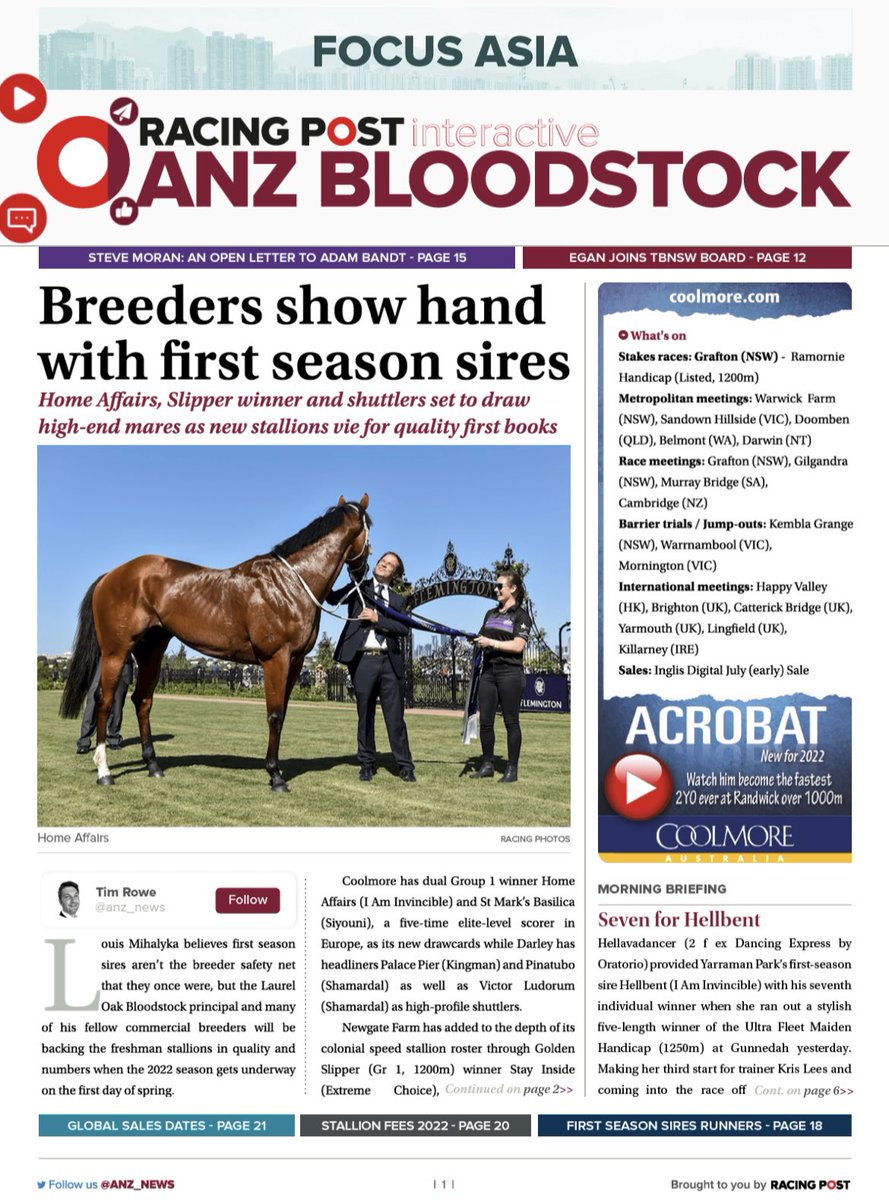 ANZ News tweet media