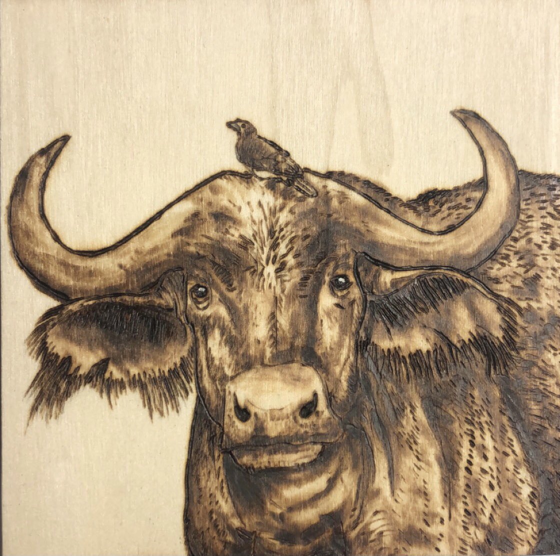 flower_coyote's tweet photo. Hello!! #ProfileDay My name is Andra and I am a wood burning artist! 🪵🔥 https://t.co/iDL7YWp0d5
