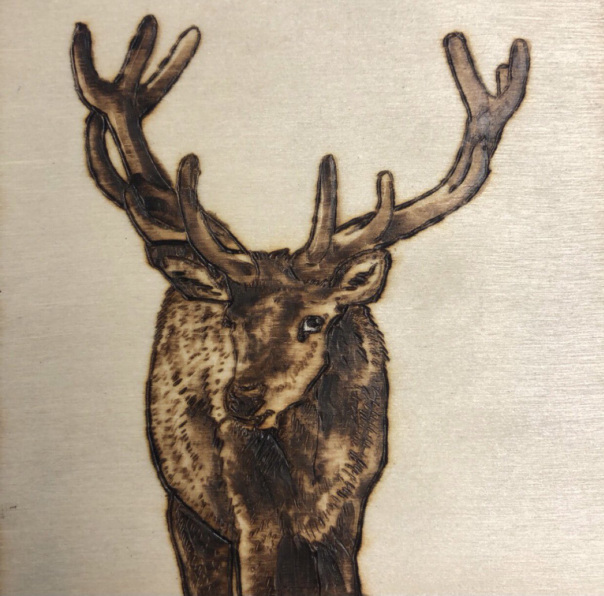 flower_coyote's tweet photo. Hello!! #ProfileDay My name is Andra and I am a wood burning artist! 🪵🔥 https://t.co/iDL7YWp0d5