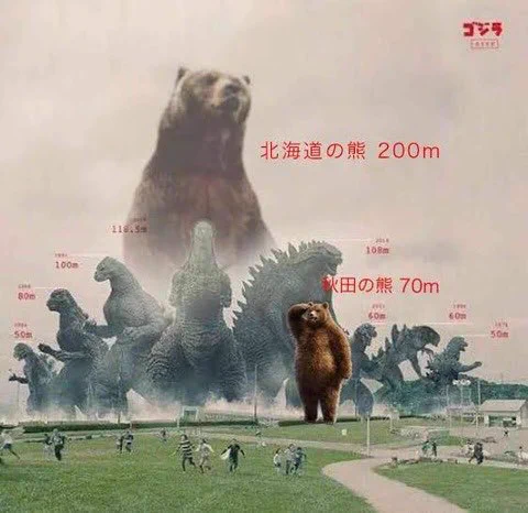 大きさがおかしい？！新聞に掲載されていたクマ出没情報！