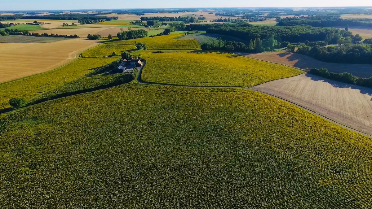 d_forge's tweet photo. J’ai mis la ferme au milieu d’une composition florale de 28 hectares de tournesol 🌻 https://t.co/yYG7YkSVWp