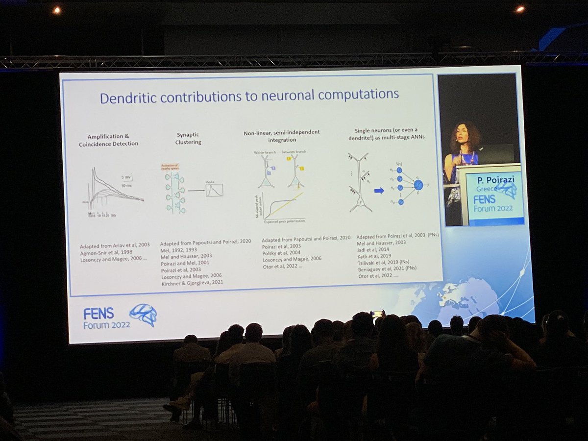 SchillerJackie's tweet image. A fantastic plenary talk by @YiotaPoirazi at @FENSorg #FENS2022 about learning with dendrites in brains and machines. Presented important concepts of computations provided by dendrites which can also improve artificial network computations.