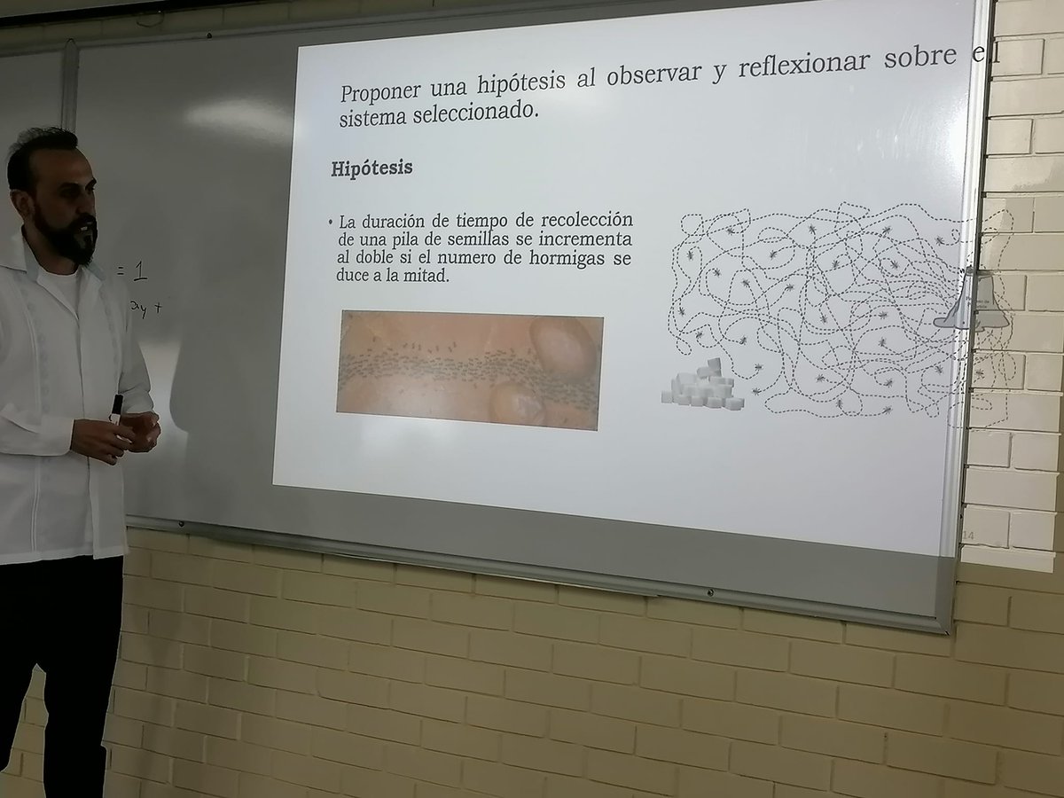 iiia_uv's tweet photo. 😍 🧠 💻 En el Taller 4 del #SIPECO, "Enseñanza y aprendizaje del pensamiento computacional basado en el desarrollo de simulaciones por computadora para probar hipótesis", el Dr. Jorge L. Zapotecatl, @inaoe_mx, mostró el uso del programa Scratch para ¡¡ hacer simulaciones‼️ 🐜 👩💻 https://t.co/qWGp4YbNUB
