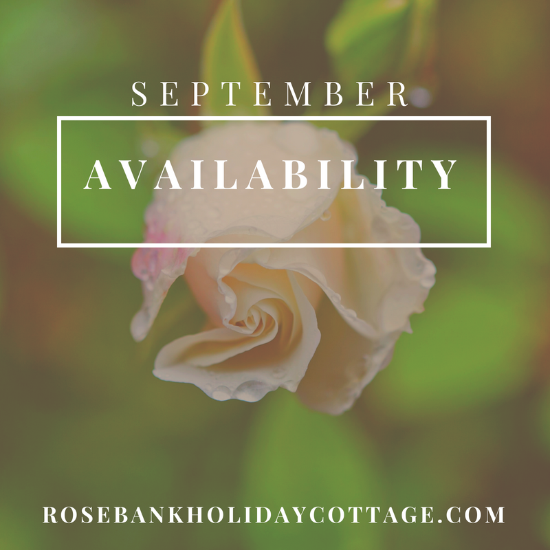 FODholidaycott's tweet photo. We have one booking left for September 2022
(26th - 30th) 

Book your stay at Rosebank Holiday Cottage by following this link https://t.co/QjG7h3LdWd 😊 #deanwye #holidaycottage #selfcateringcottage https://t.co/DnP3vQOlHw
