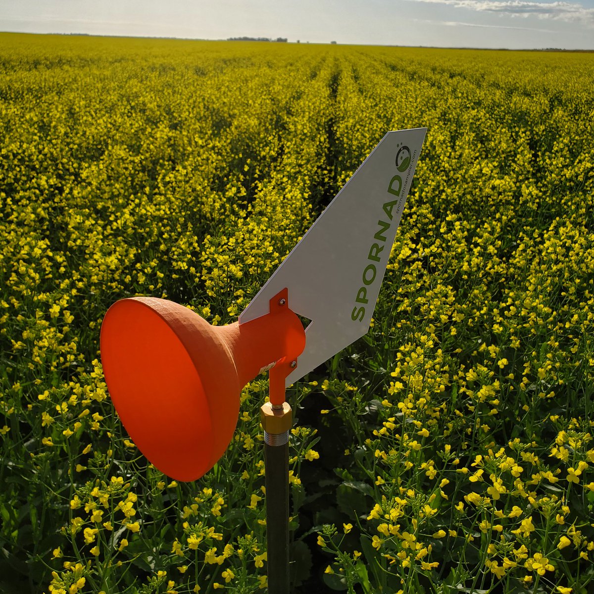 bry_waller's tweet photo. Sclerotinia spore checking, rows in Roland... https://t.co/cFxktRVYfD