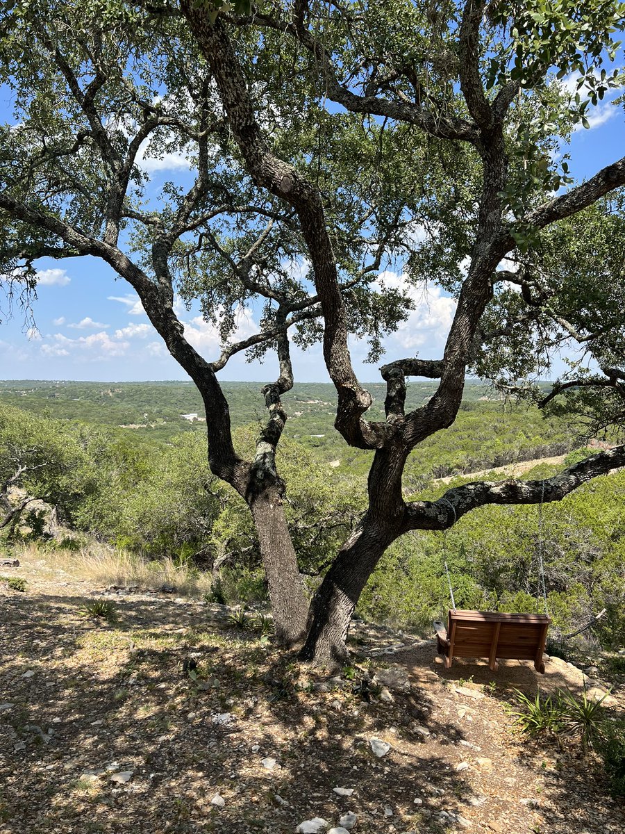 104 degrees Fahrenheit today.  

Sipping the #SiboneyCellars #Roussanne #txwine #Wimberley #Texas