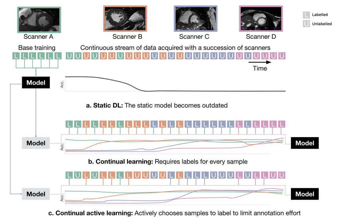 CIR Lab (@cir_lab) on Twitter photo Come see a talk by Matthias Perkonigg: Continual Active Learning for Efficient Image Labeling while Image Characteristics Change - Session: RPS 2305, Jul 17, 09:30 - 10:30 #ECR2022 <a href="/MedUni_Wien/">MedUni Wien</a> <a href="/myESR/">myesr</a> <a href="/cir_lab/">CIR Lab</a> <a href="/matthias_perk/">Matthias P</a> <a href="/HProsch/">Holger Prosch</a> <a href="/joh_hof/">Johannes Hofmanninger</a> <a href="/georg/">Georg Langs</a> Come see a talk by Matthias Perkonigg: Continual Active Learning for Efficient Image Labeling while Image Characteristics Change - Session: RPS 2305, Jul 17, 09:30 - 10:30 #ECR2022 <a href="/MedUni_Wien/">MedUni Wien</a> <a href="/myESR/">myesr</a> <a href="/cir_lab/">CIR Lab</a> <a href="/matthias_perk/">Matthias P</a> <a href="/HProsch/">Holger Prosch</a> <a href="/joh_hof/">Johannes Hofmanninger</a> <a href="/georg/">Georg Langs</a>