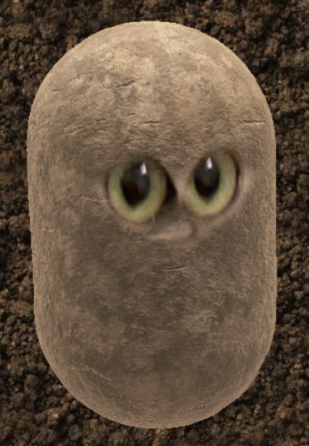 LocalBirdBrain tweet picture