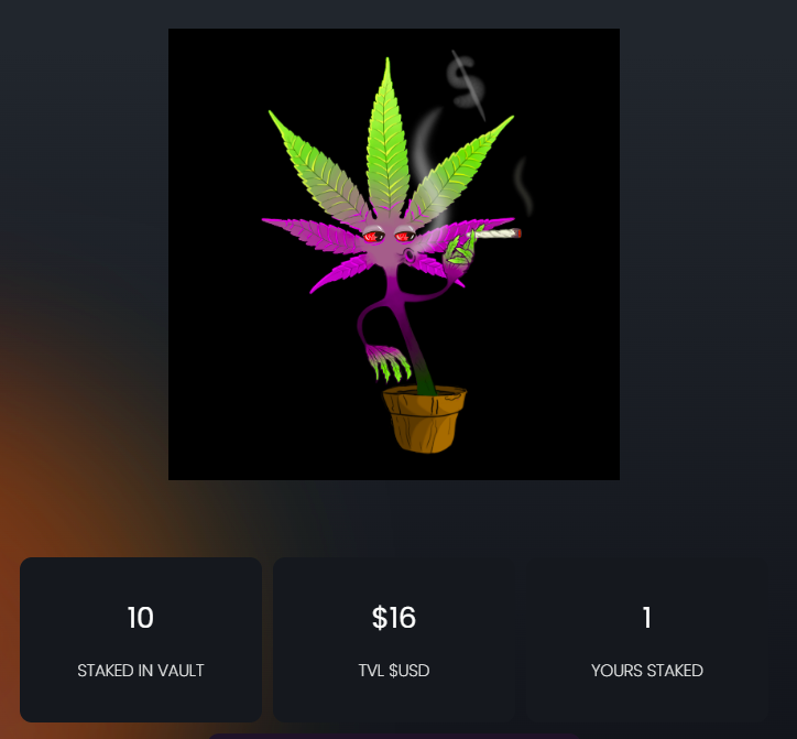 terp🐻🐸 tweet media