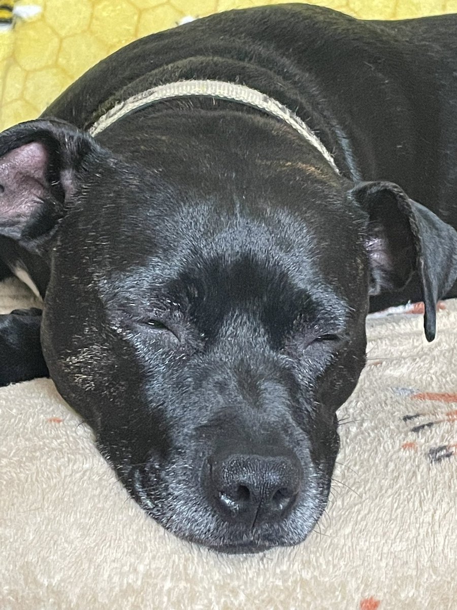 Pepsiandco's tweet photo. I twide to keep my eyes open today https://t.co/OIgb1hQqPU