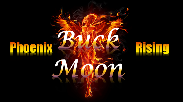 11_tarot's tweet photo. IT'S TIME! OUR BIG PREMEIRE!!!!!
Weds - July 13th  @1111moon  
3 pm US CENTRAL (click the link!)
https://t.co/akzPuTc6VX

#buckmoon #fullmoon #buckfullmoon
#1111moon #1111moontarot #fullmoontarot https://t.co/M76OroIBZH