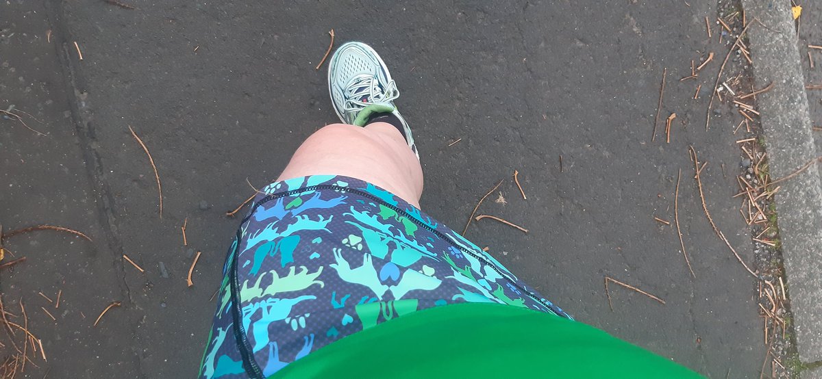 teenymac's tweet photo. #Couchto5K Week7:1 Evening run in my new @FlanciActive @Nowzad skort.
@govindajeggy voice-over taking me through the journey from walk to run 5k, and @scottthevet1 @vtx_cpd podcasts keeping my mind off my chubby tired legs! #thesevetsrun @CVOScotland
@Melissavet64 @RossAllanVet https://t.co/i1xVtKrtT2