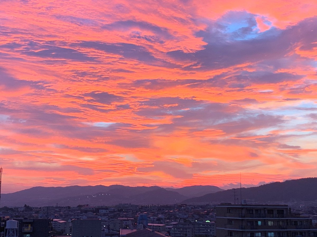 taketan110's tweet photo. #おはようございます 
本日の　＃ガラスペン
#shoko_yamazaki どの
暁色の素敵なガラスペンぞな🥳🎉
#インク沼 
#朝活書写 
#絵描きさんと繫がりたい 
#文房具好きと繋がりたい 
#おはようVtuber 
#おは戦40713js 
#おはララ 
#文具 https://t.co/xarDA2DThp