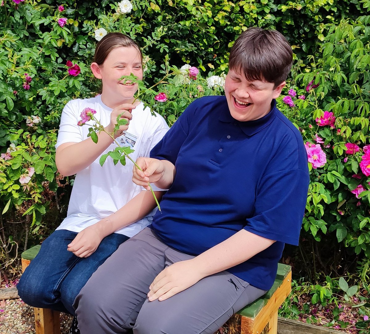 Dave Pickering (@dpickeringaan) on Twitter photo Just having fun in the garden/ allotment @RHSSchools roses look great <a href="/PeterBealesRose/">Peter Beales Roses</a> and the sun / heat means we can water and relax...... oh and have fun Just having fun in the garden/ allotment @RHSSchools roses look great <a href="/PeterBealesRose/">Peter Beales Roses</a> and the sun / heat means we can water and relax...... oh and have fun