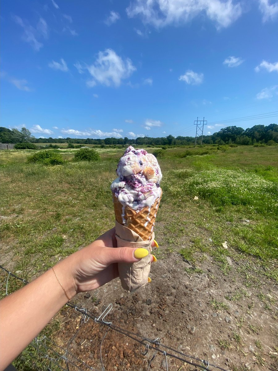 theicecreambarn's tweet photo. Blueberry Cheesecake is on the #LimitedEdition menu! #TisTheSeason https://t.co/v3Af4bYwhD