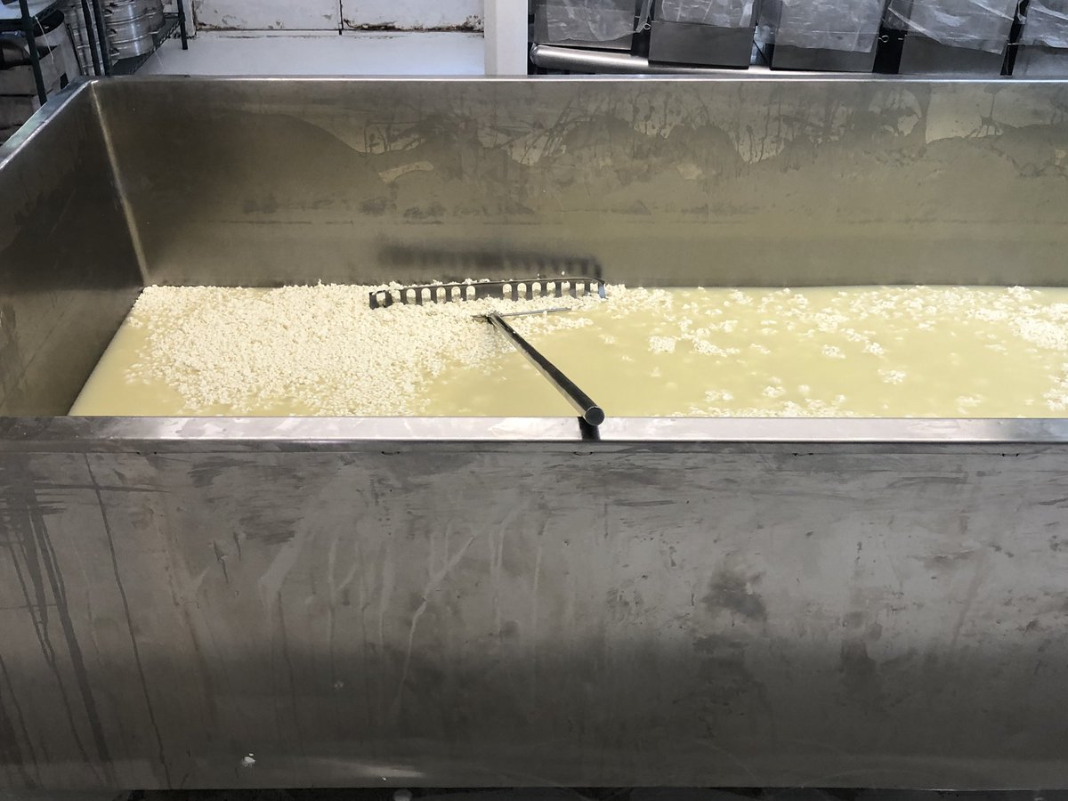 When I discovered that Crowley Cheese, the oldest cheese factory in America (established in 1824), is near where we’re staying in Vermont, of course we had to go. Cheese tasting tonight! #CheeseRonin #CheeseLifestyle