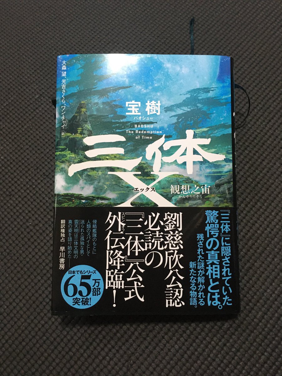 「三体X 観想之宙」読完

これは一言で言い表すならば、
「背中を後押しする一冊」

三体ロスで空いてしまった心を埋め、新しい作品への冒険を後押しするための一冊。
三体は世界の真理を言い当てた完璧な作品ではなく、こんなSF的な結末があっていいじゃないかと訴えかけてくる一冊。

次は何を読もう