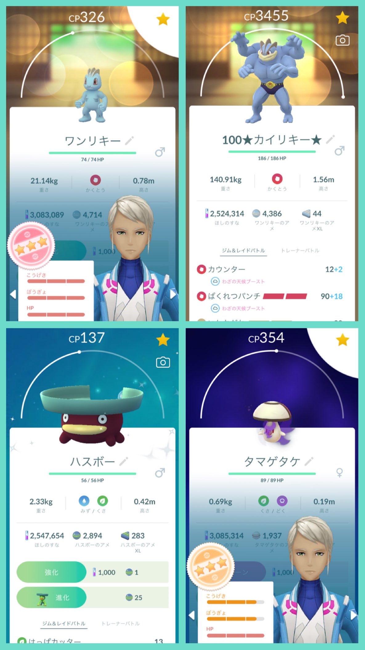 色違いハスボー Twitter Search Twitter