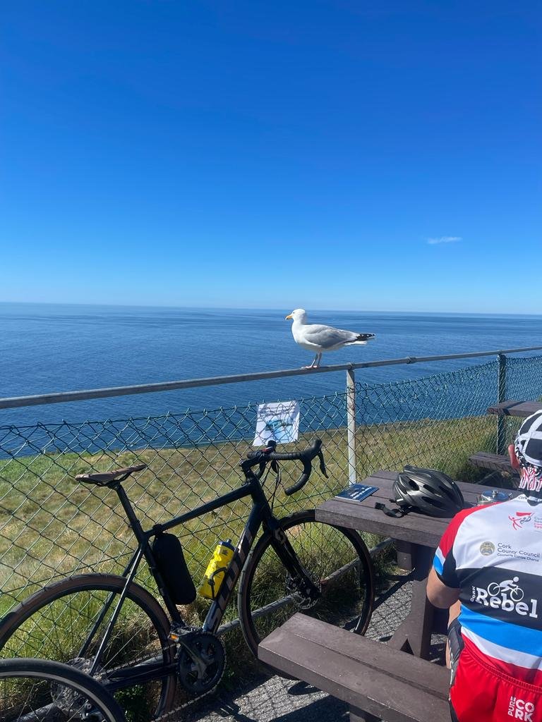 Some photos that were sent to us since the cycle last weekend.
Check out our facebook page for more.
#wamcycle22