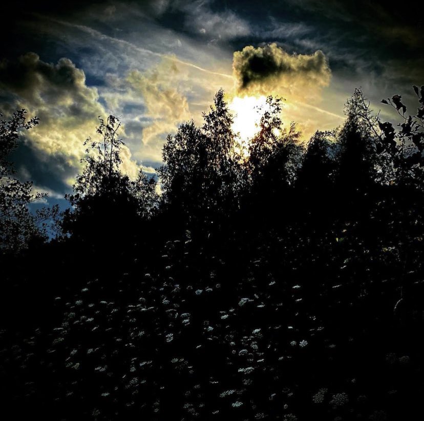 TheKateEscapes's tweet photo. Be both soft and wild. Just like the moon. Good night.
#moon #moonshine #moonlight #goodnight #NightPhotography #nightnight #photography #moonlightshadows #silhouette https://t.co/WyBNxLLPGG