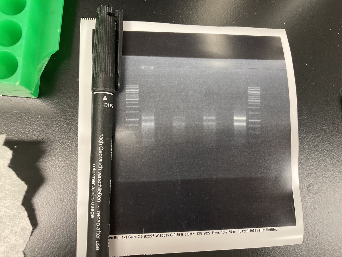 Ching-Ting Huang 黃敬廷 tweet media