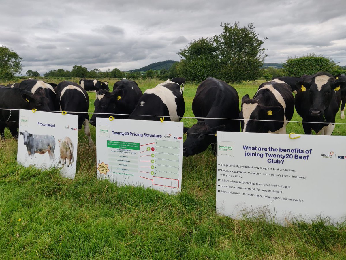 A great turnout this evening☀️ for the first Twenty 20 Beef Club farm walk on Patrick Brennan's farm in Ratheniska, Co. Laois. Attendees got to hear Glanbia and <a href="/KepakGroup/">Kepak</a> representatives discussing performance📈, animal health🐄, grassland management 🌱 and procuring cattle.