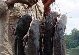 Azpicuba's tweet image. Mi lista de bloqueados en #TwitterCuba 🙂 diario se suma unos cuantos 😏
.
.
#ciberclaria