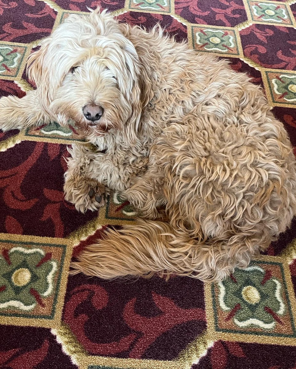 Nick Peinovich tweet media
