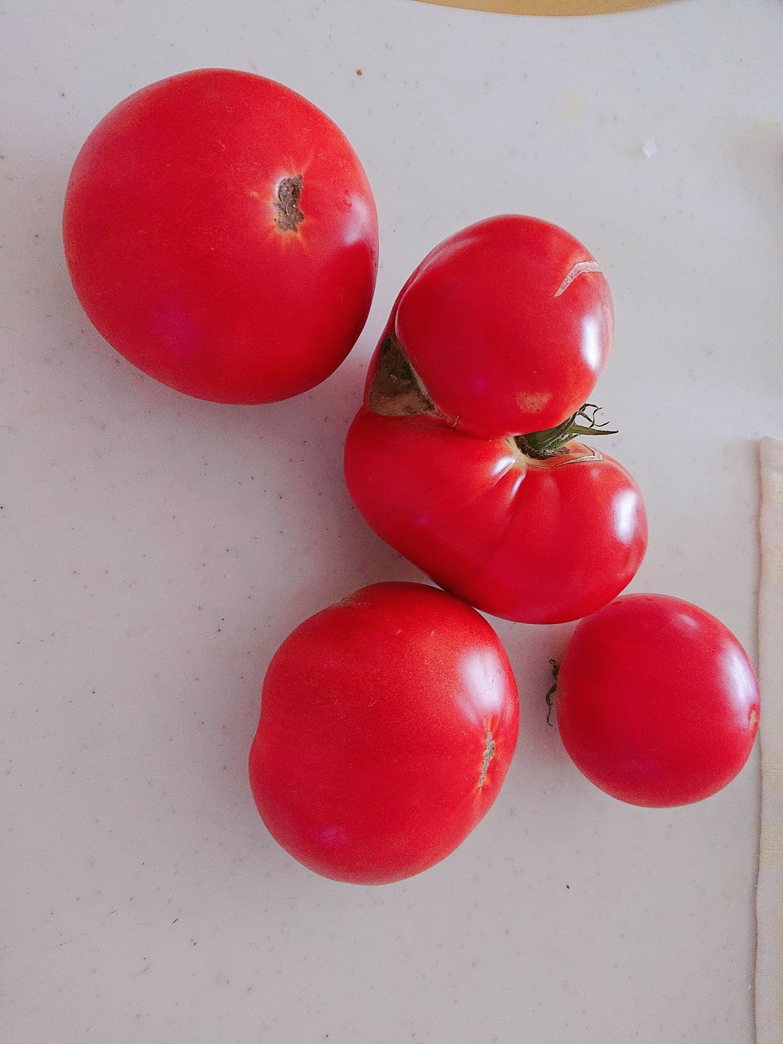 乱形果 Twitter Search Twitter