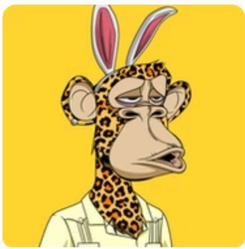 Vicki08510447's tweet photo. Welcome to the fam. 
#oxapes #oxmayc #oxbakc 🥳🎉🚀🎉 https://t.co/eI7f4GOr31