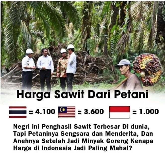 RamliRizal's tweet photo. Dasar ndak becus 👍 Menyelesaikan masalah yg berlimpah saja (abundance) ndak bisa, malah makin ruwet, bikin susah rakyat dan petani. Apalagi selesaikan masalah langka (scarcity), paling bisanya naikkan harga https://t.co/apgso5TZay