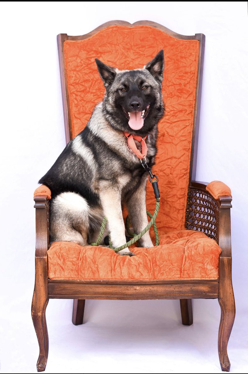 Meghan Coccia (@meghankathleen_) on Twitter photo 