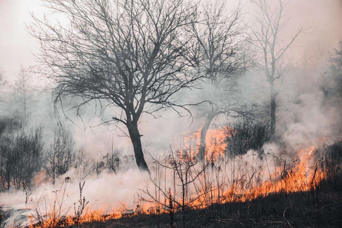 ernnews's tweet photo. Forest fire warning issued as heatwave continues - 
The Ministry of the Interior has issued a high alert for forest fires across mainland Spain which is expected to remain in place until... - https://t.co/JPS8WuzMcp. #NewsAcrossSpain https://t.co/Lr9DRia5Xm