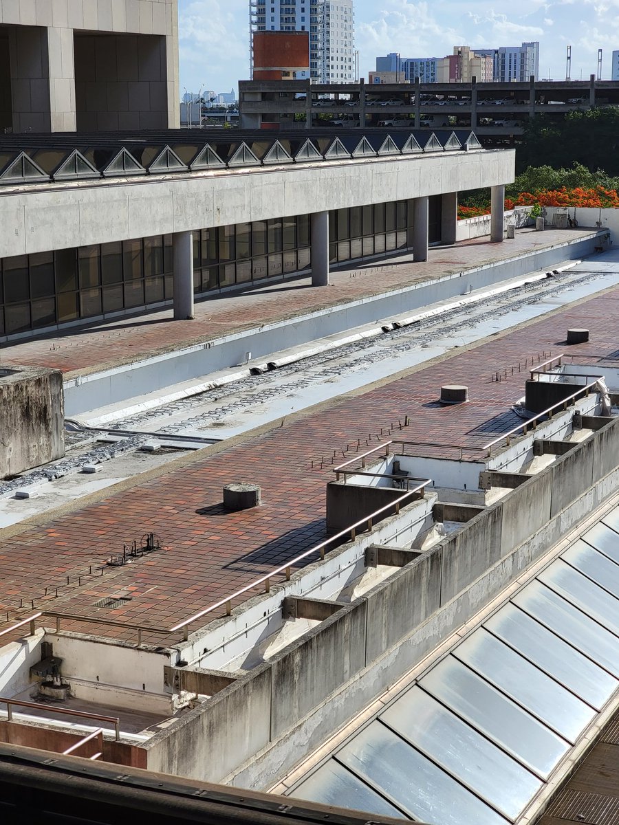 Jerome Alexander Horne tweet media