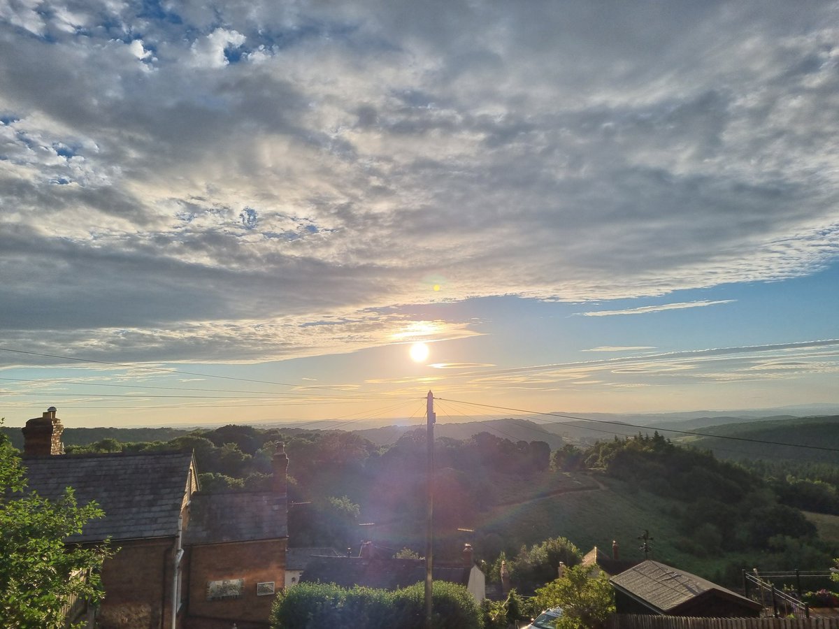 Miss Toward tweet media