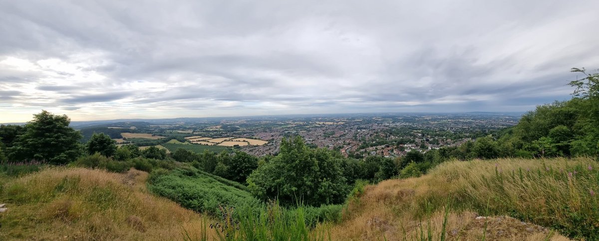 Miss Toward tweet media