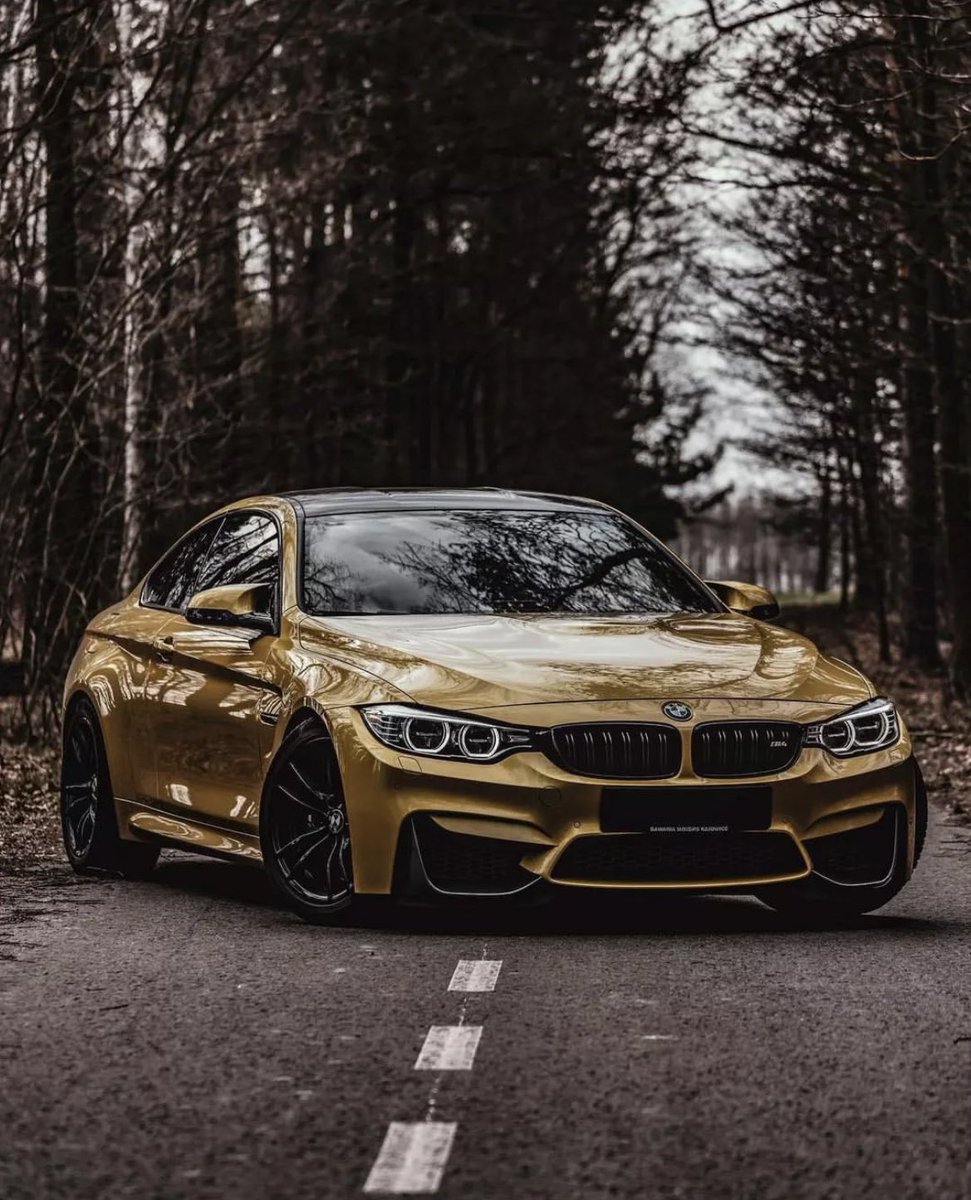 LuxuryCars365's tweet photo. BMW M4 F82 🍂 https://t.co/uc6rhgmDKZ