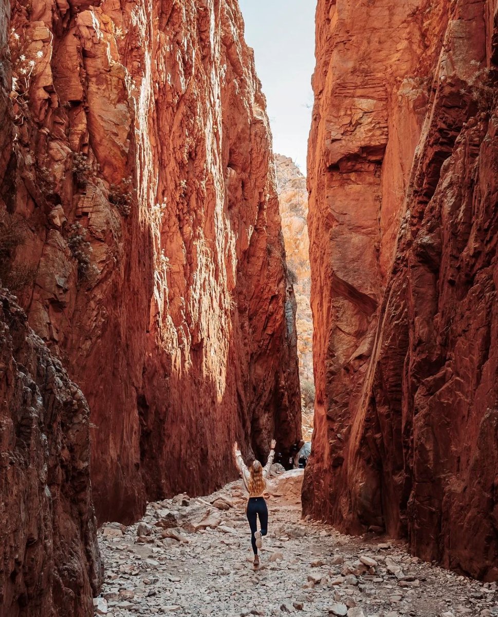 NT_Australia's tweet photo. Prepare to be blown away by the vibrant colours of #StandleyChasm | Angkerle.
Photo: salt.and.charcoal/via IG in @VisitCentralAus
#NTaustralia #SeeAustralia https://t.co/6NFF4u5xHr