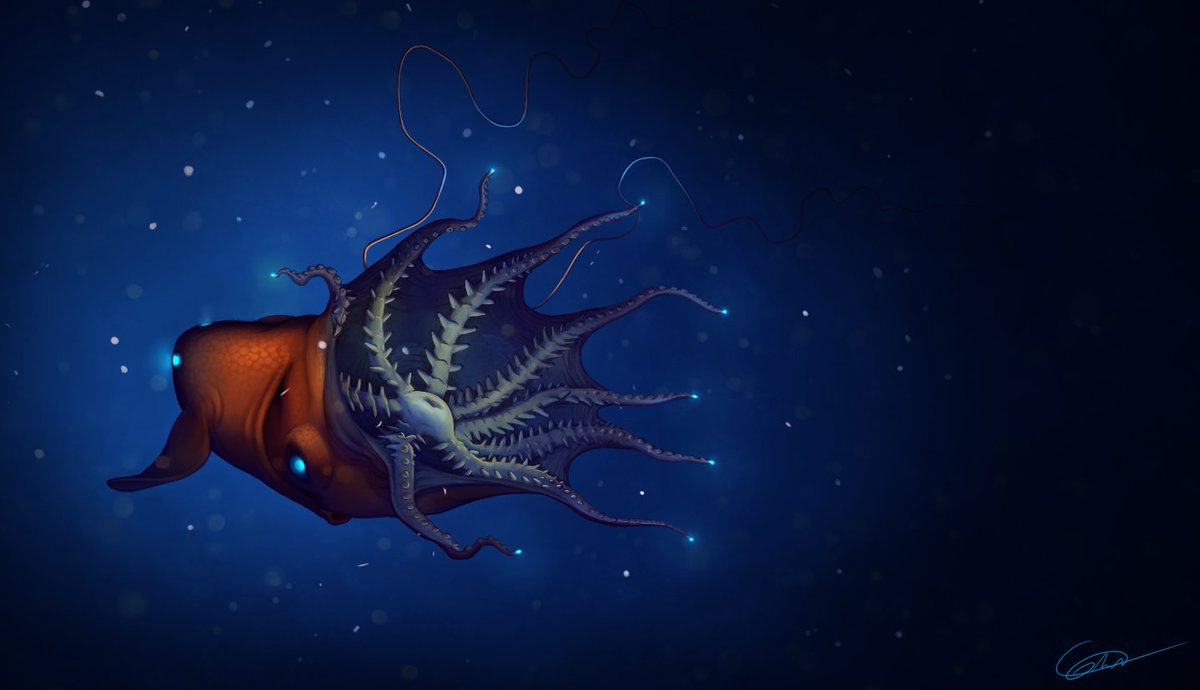 guyveluwi's tweet photo. Apparemment c'est le #PortfolioDay !

Alors, je suis Grech, illustrateur avec une auto-entreprise dans le dessin scientifique, ainsi que titulaire du Master Sciences de la Mer à Sorbonne Université.

https://t.co/1kIg9FkocU
https://t.co/Fp2r7ugeLQ https://t.co/vn7nzs5ny4